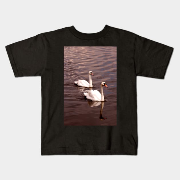 Swans Together Kids T-Shirt by jwwallace